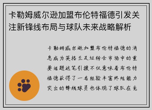 卡勒姆威尔逊加盟布伦特福德引发关注新锋线布局与球队未来战略解析